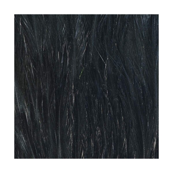 LARGE WET FLY STREAMER NECKS, Fly Tying Jann's Netcraft